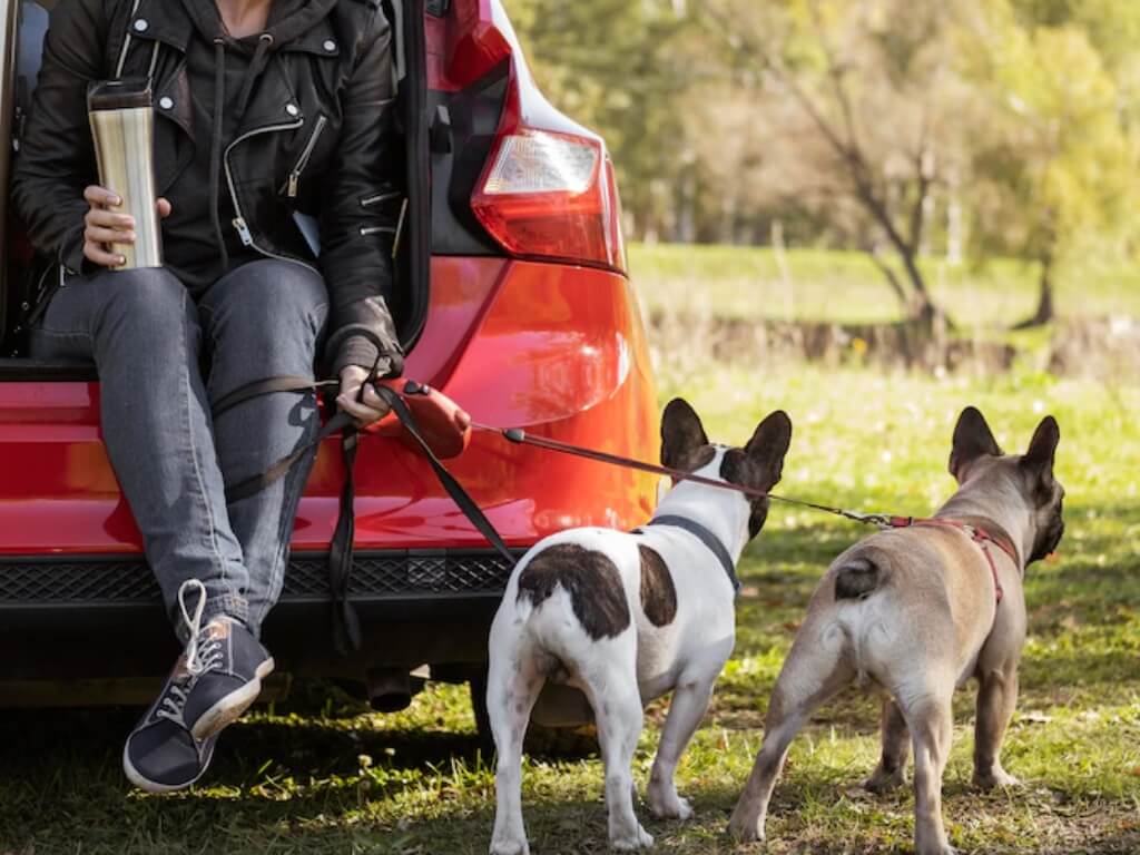 Como-transportar-o-seu-pet-no-carro-em-seguranca-3